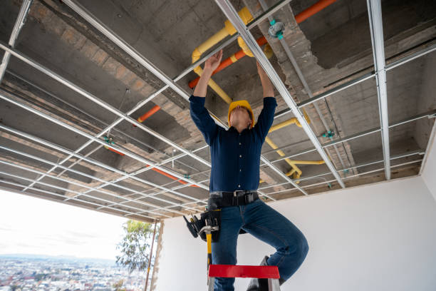 Best Plumbing Services Near Me  in Waialua, HI
