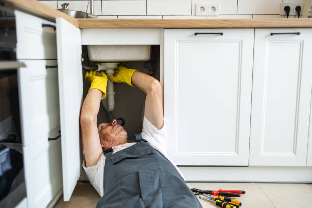 Best Toilet Repair Services  in Waialua, HI